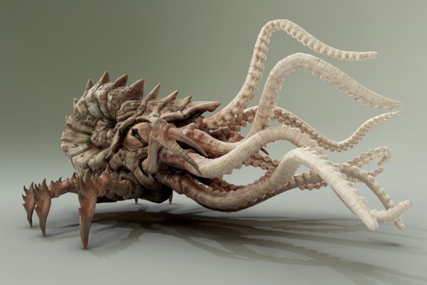 Kraken ссылка зеркало рабочее